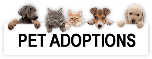 Hillcrest Animal Clinic - Pet Adoptions
